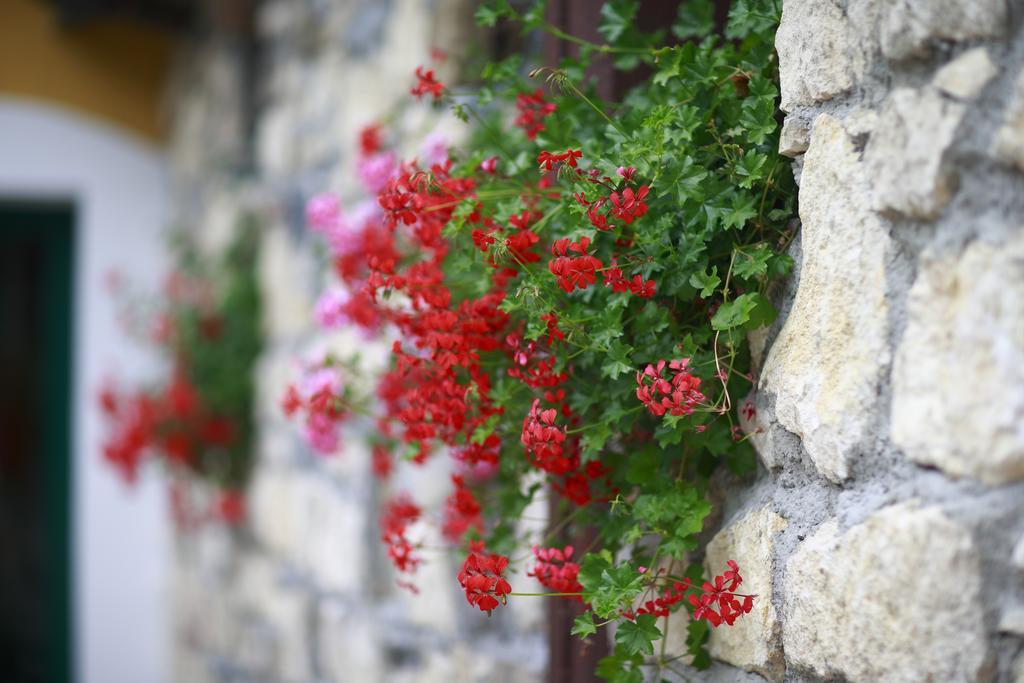 Guesthouse Villa Zelenjak Ventek Kumrovec エクステリア 写真